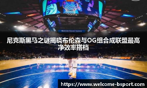 BSPORTS体育官网